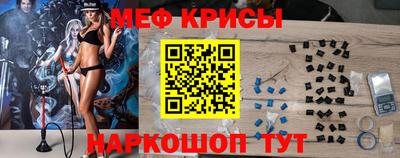 сатива Кингисепп