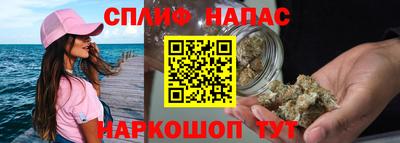 сатива Кингисепп