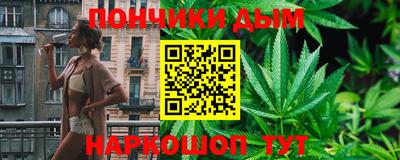сатива Кингисепп