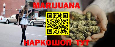 сатива Кингисепп