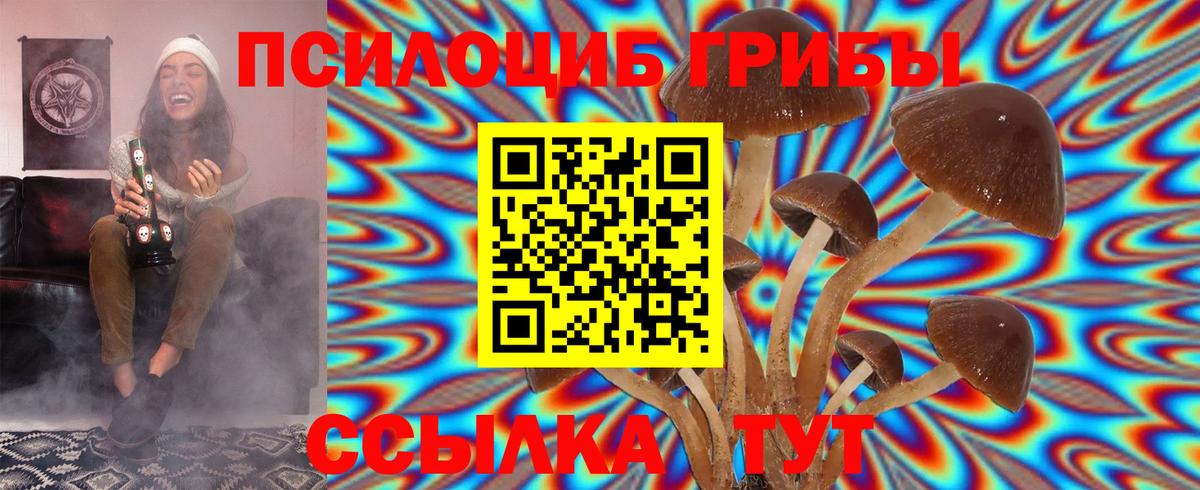 Краснодар  Галлюциногенные грибы Psilocybine cubensis  Галлюциногенные грибы Cubensis  наркошоп  Вход с VPN 
